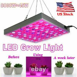 8000W 144LED Grow Light Panel Full Spectrum Plant Veg Lamp Flower Bloom US Plug