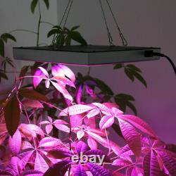 8000W 144LED Grow Light Panel Full Spectrum Plant Veg Lamp Flower Bloom US Plug